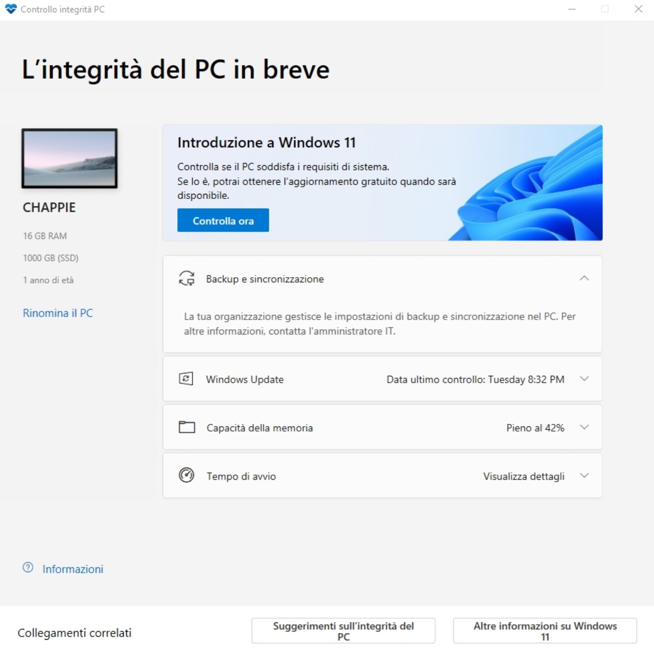 windows 11 download